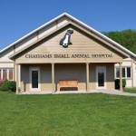 Chathams Small Animal Hospital