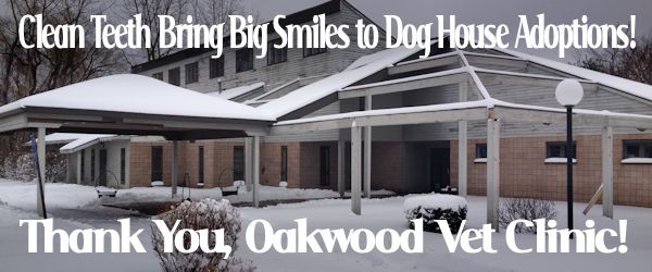 Oakwood Vet Clinic