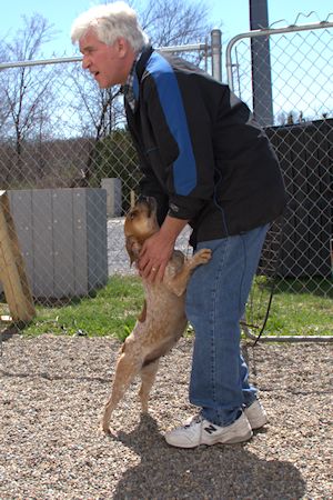 Steve Caporizzo - CAPP Mill Rescue - 4.21.2013