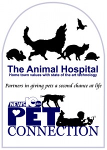 The Animal Hosptial