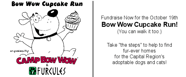 Bow Wow Cupcake Run 2013