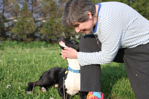 Gunther at Dog House Adoptions