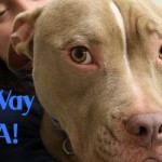 Oliver's Way Joins DHA!