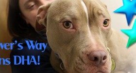 Oliver's Way Joins DHA!