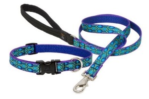 Lupine Collar and Leash