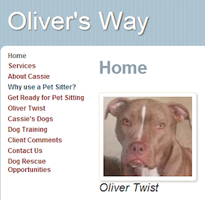 Oliver's Way