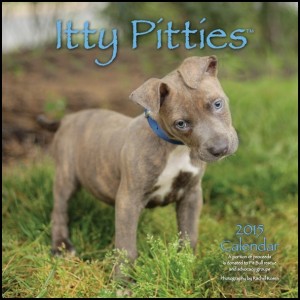 2015 Itty Pitties Calendar