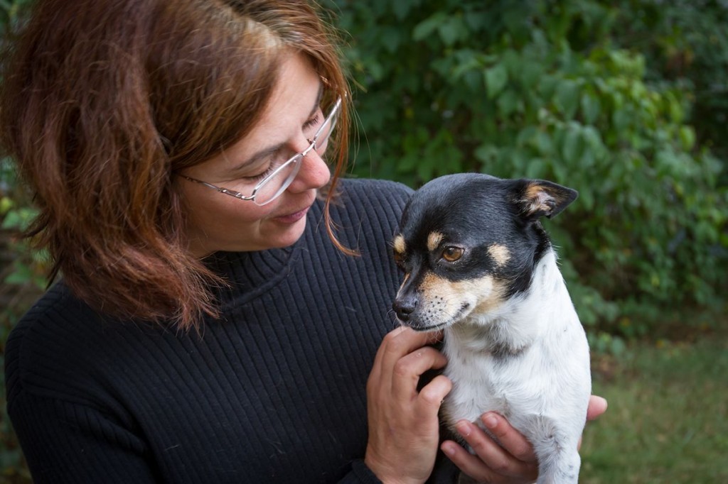 Ralph, Now Rikki at Dog House Adoptions