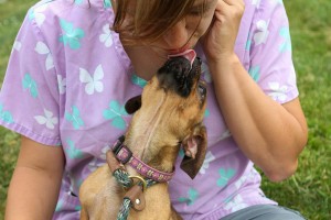 Kate Lynne at Dog House Adoptions