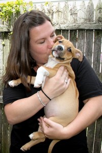 Magnolia at Dog House Adoptions