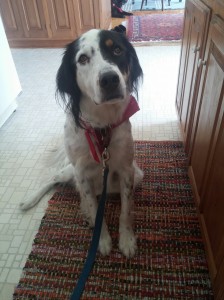 Jesse at Home