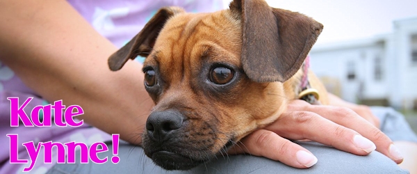 Kate Lynne at Dog House Adoptions