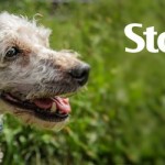 Stanley