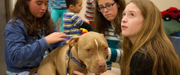Girl Scouts and Oliver - Dog House Adoptions