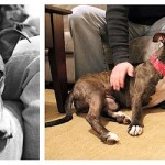 Katey at Dog House Adoptions