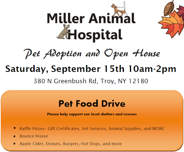 Miller Animal Hospital Pet Adoption Day